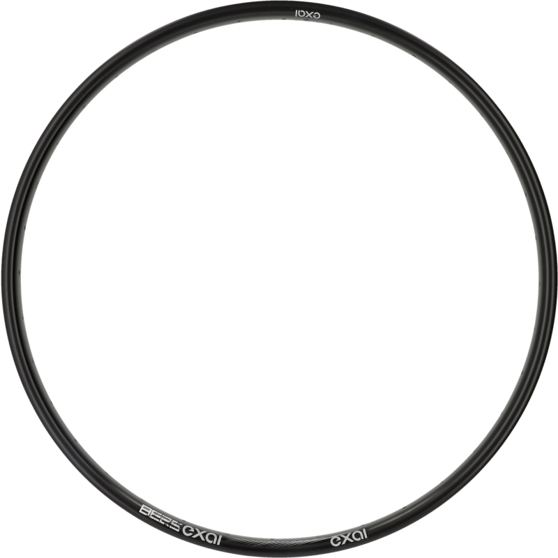 Felge 27,5 Zoll/584-25/36 Loch/AV/ Alu